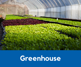 Greenhouse